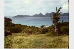 141 Mayero island.JPG